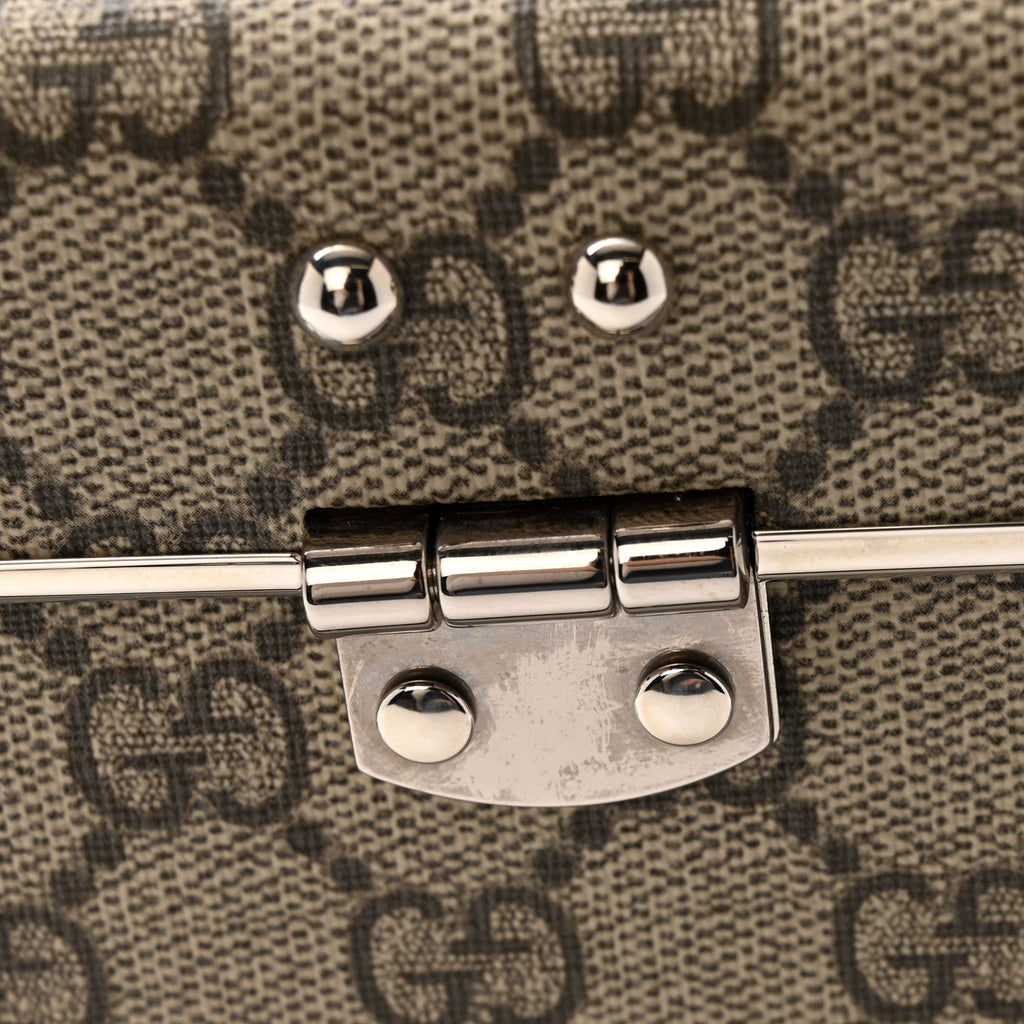 GG Supreme Monogram Globe-Trotter Beauty Case Brown