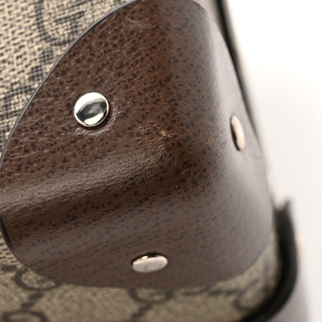 GG Supreme Monogram Globe-Trotter Beauty Case Brown