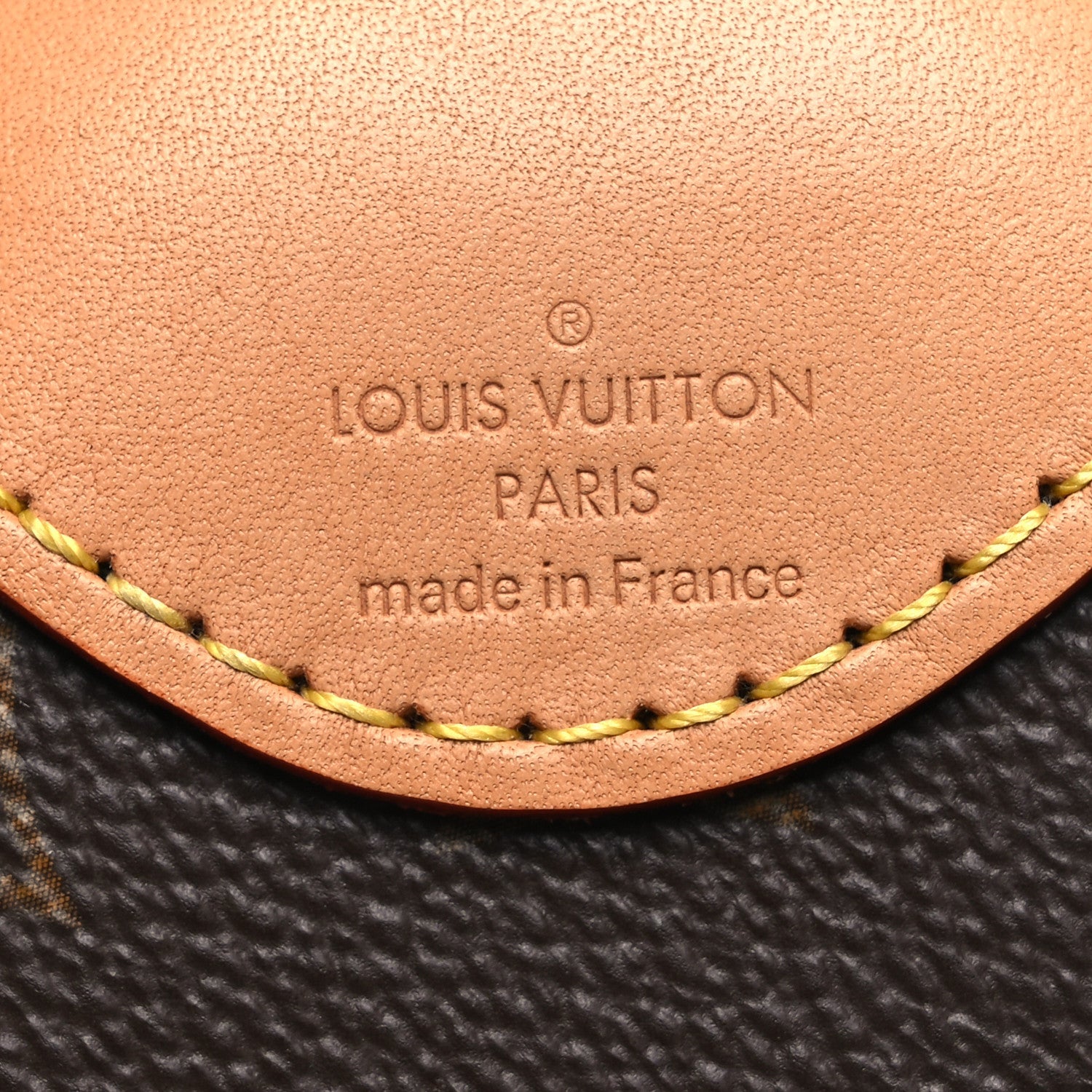 LV X SUN YITIAN MONOGRAM LEOPARD HORIZON 55