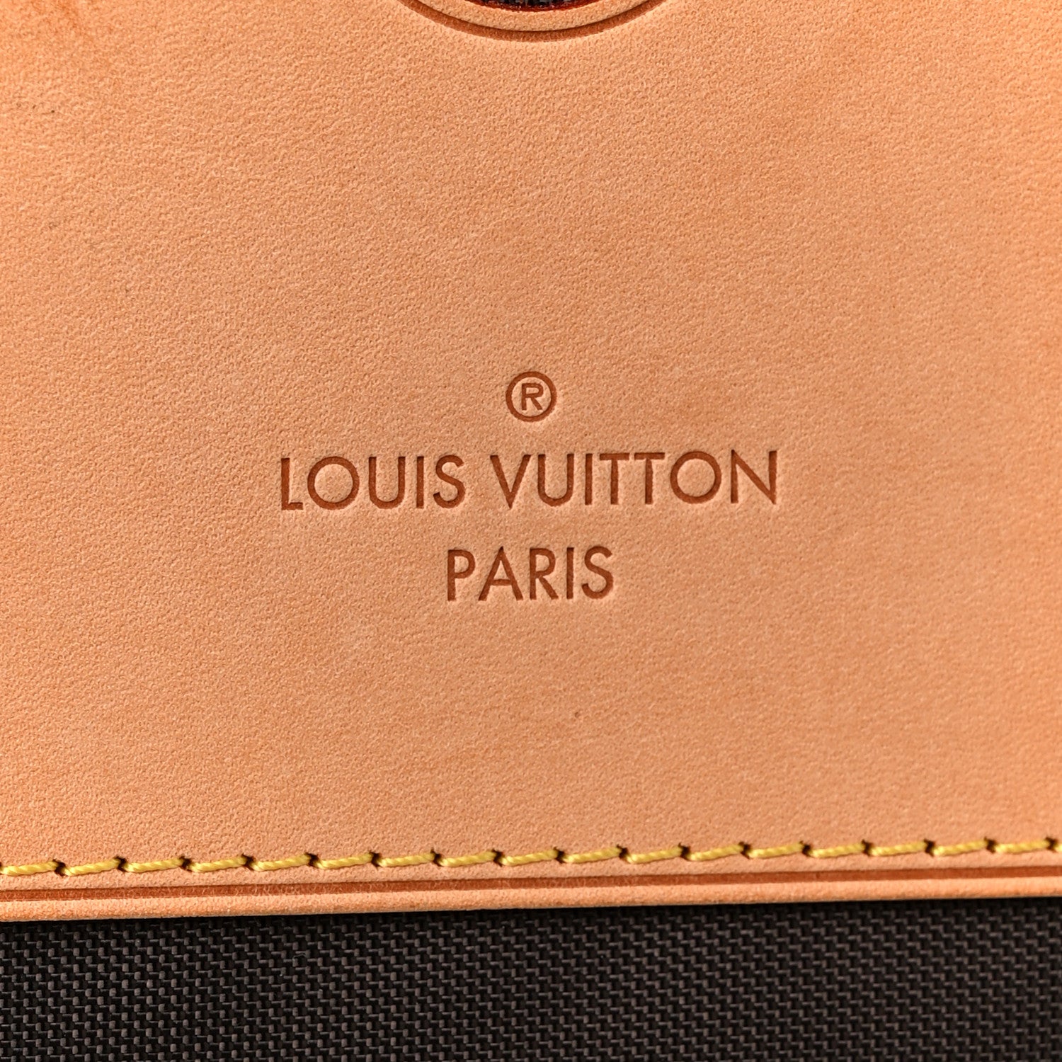 Monogram Pegase 55 Business