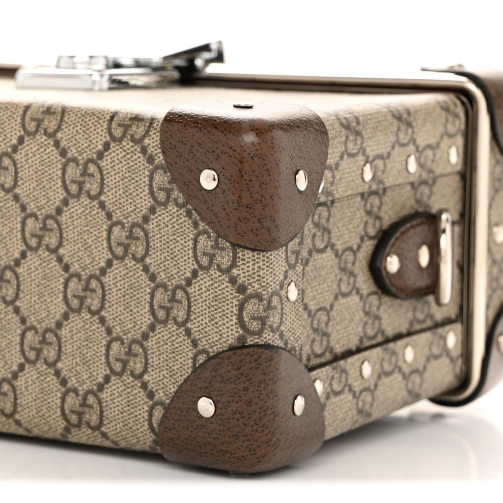 GG Supreme Monogram Globe-Trotter Beauty Case Brown