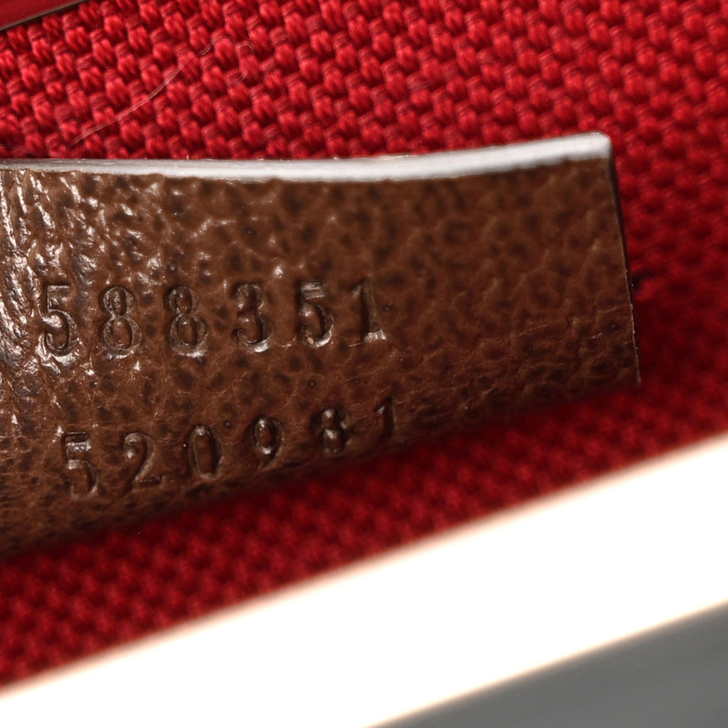 GG Supreme Monogram Globe-Trotter Beauty Case Brown