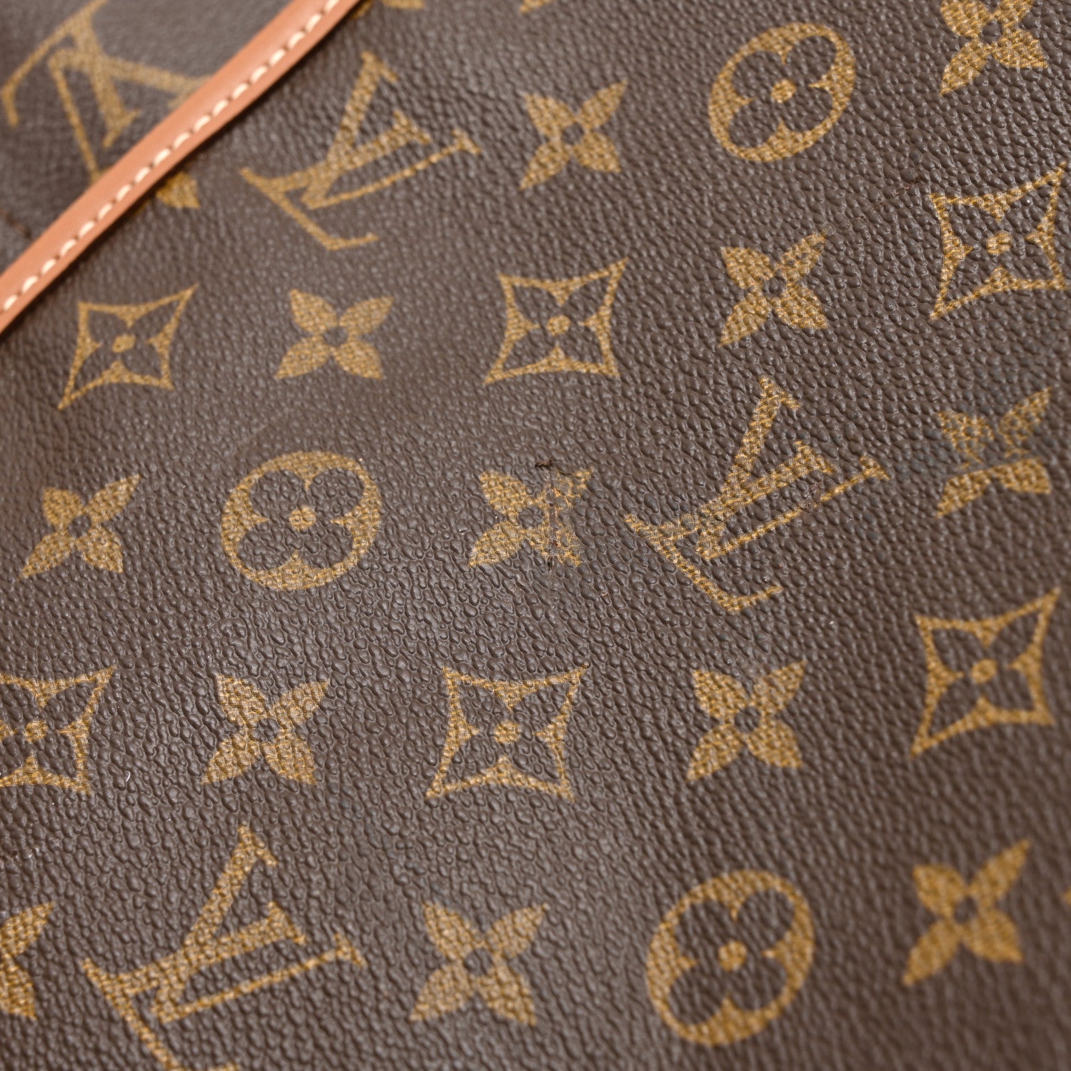 Monogram Garment Bag