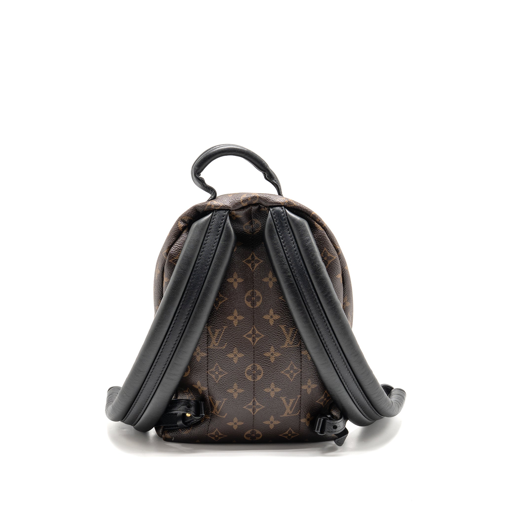 LOUIS VUITTON PALM SPRING PM BACKPACK MONOGRAM CANVAS GHW