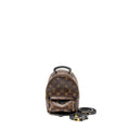 LOUIS VUITTON MINI PALM SPRING BACKPACK MONOGRAM CANVAS GHW