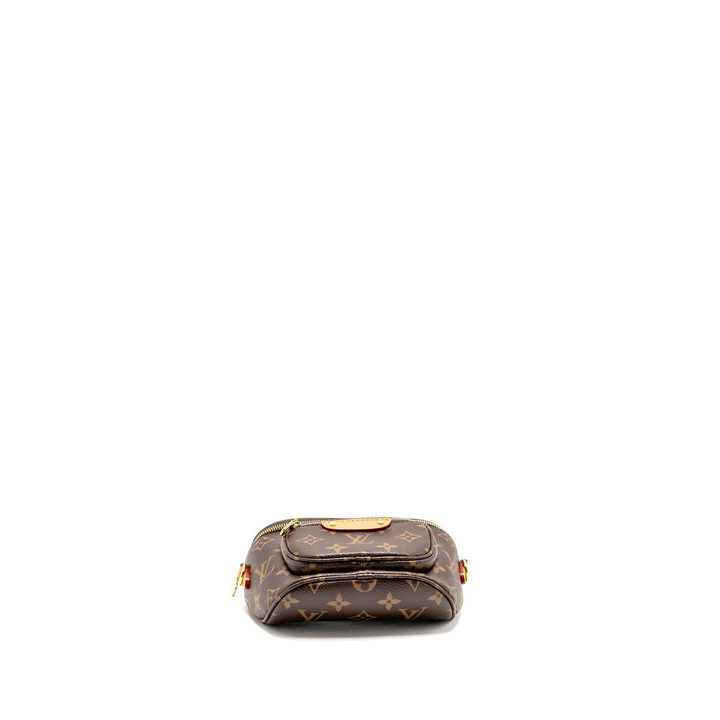 LOUIS VUITTON MINI BUMBAG MONOGRAM CANVAS GHW