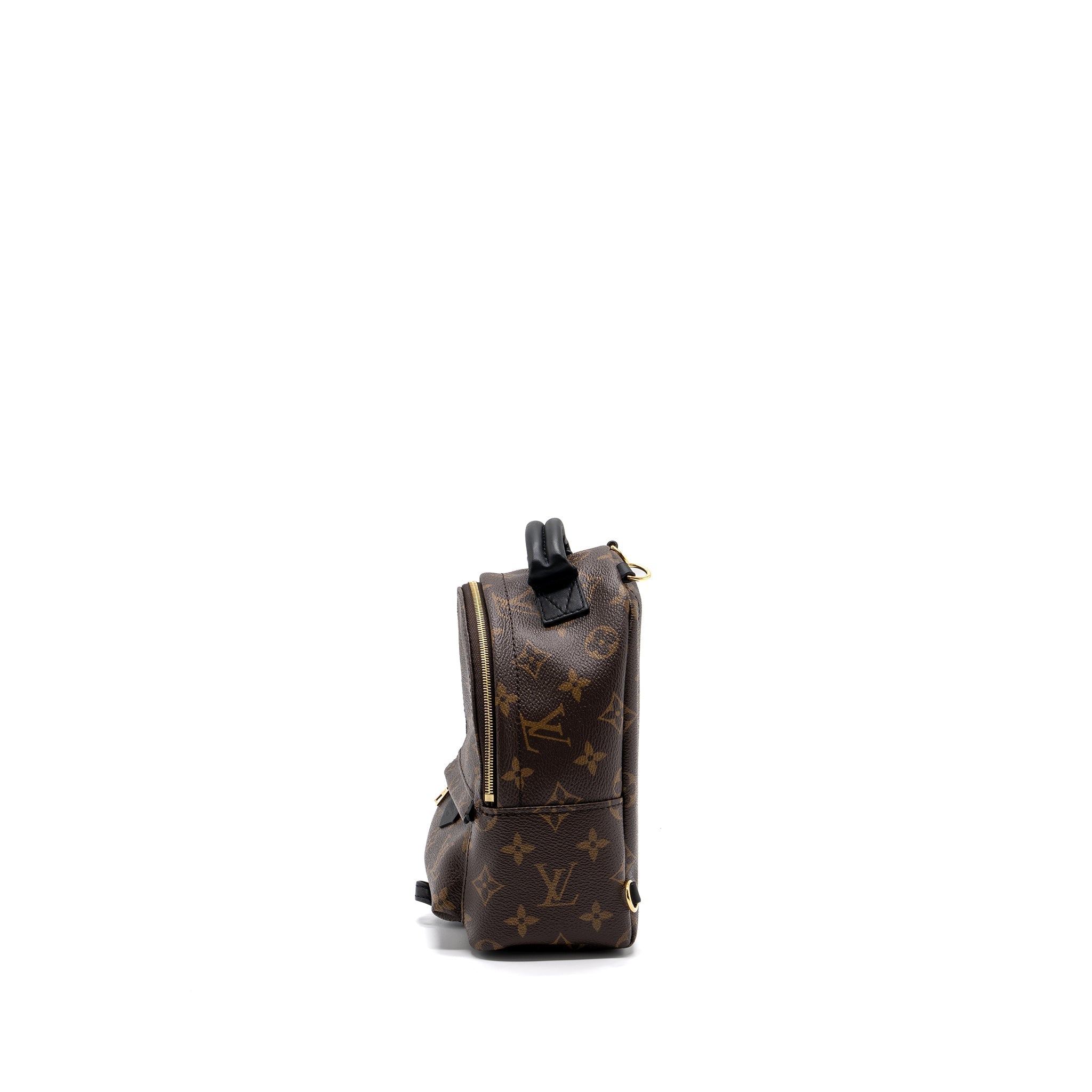 LOUIS VUITTON PALM SPRING MINI BACKPACK MONOGRAM CANVAS GHW