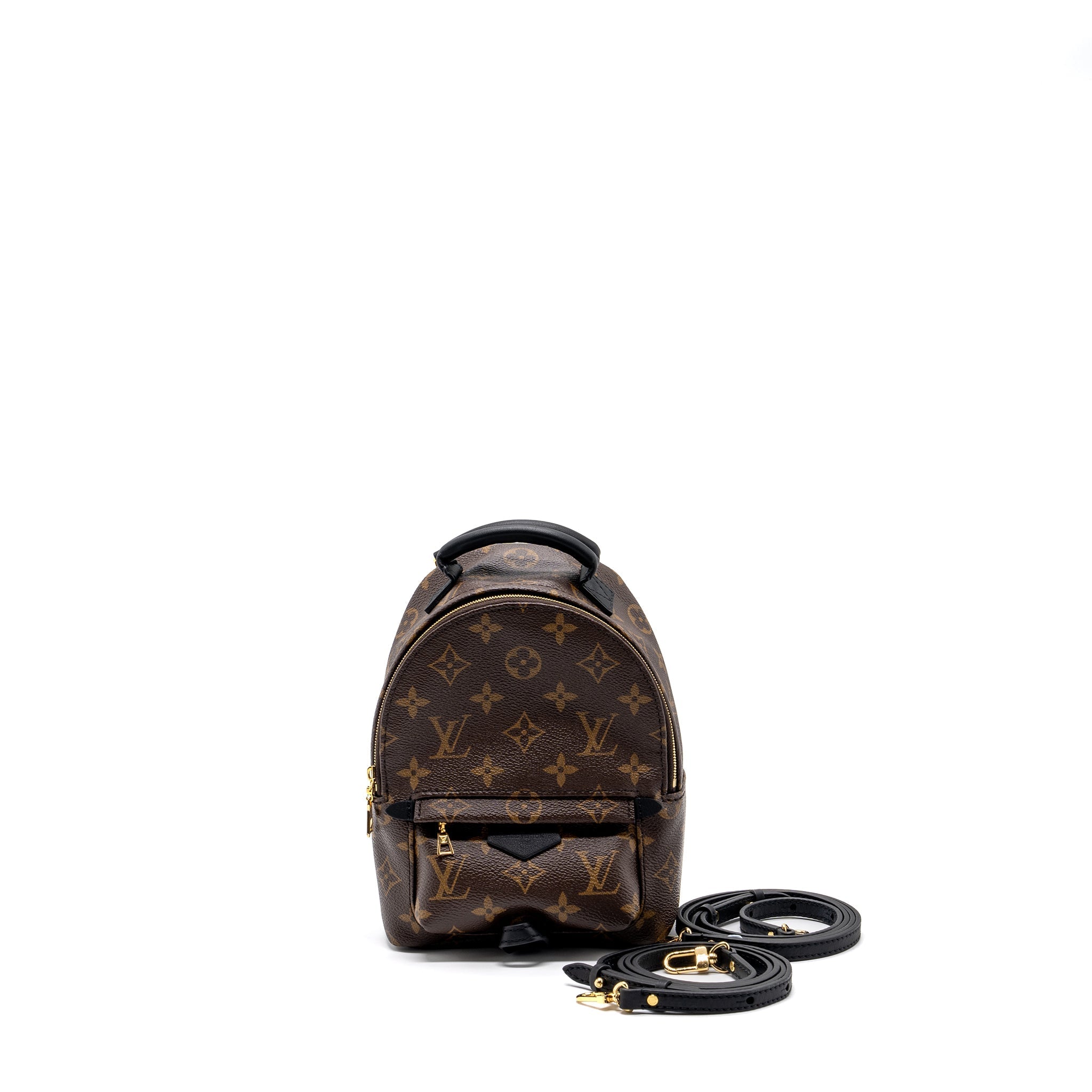 LOUIS VUITTON PALM SPRING MINI BACKPACK MONOGRAM CANVAS GHW