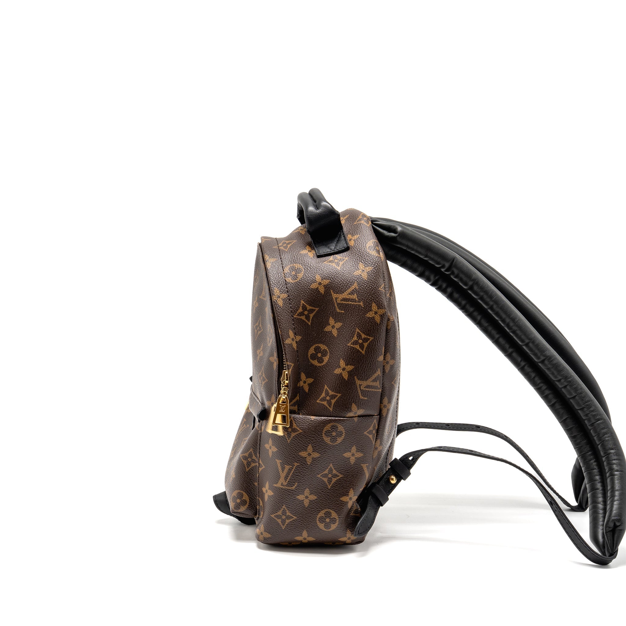 LOUIS VUITTON PALM SPRING PM BACKPACK MONOGRAM CANVAS GHW