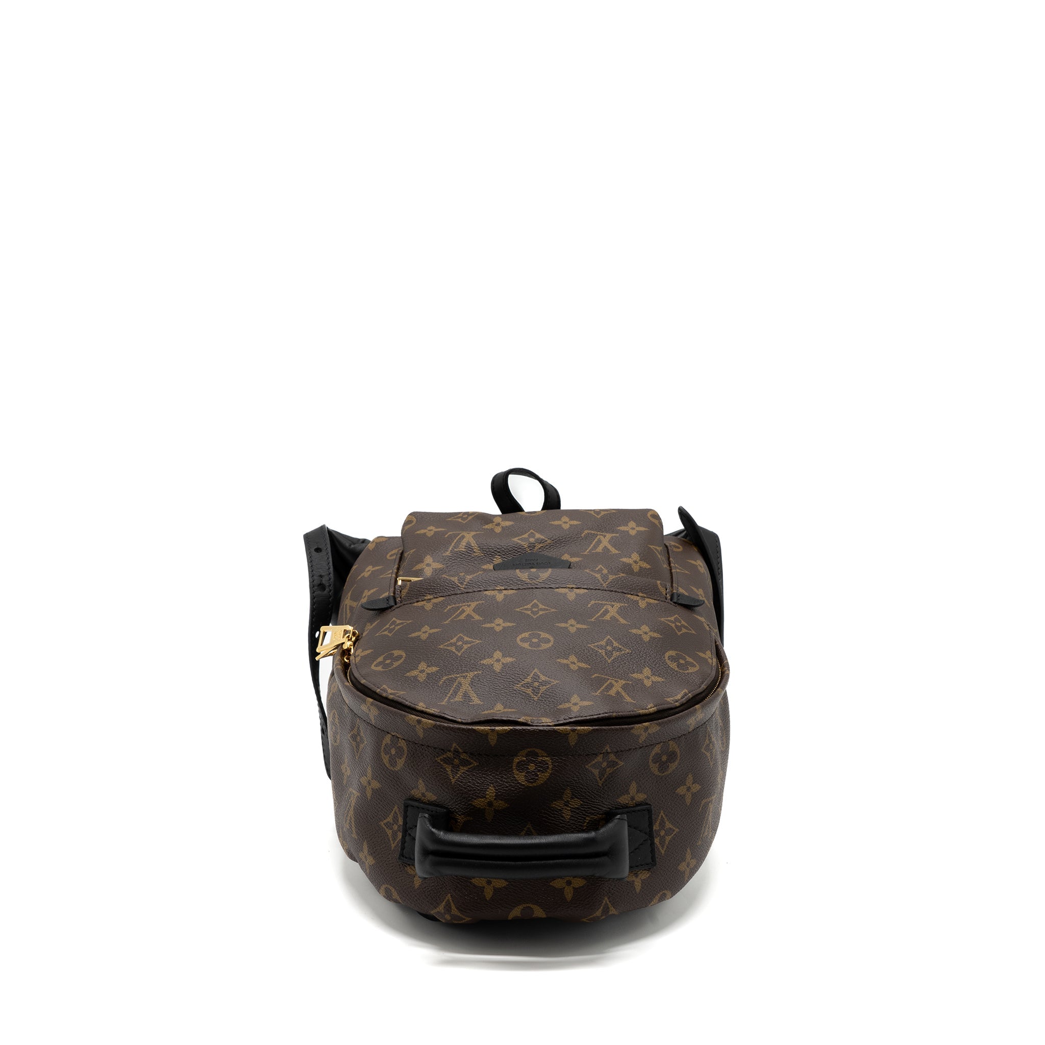LOUIS VUITTON PALM SPRING BACKPACK PM MONOGRAM CANVAS GHW