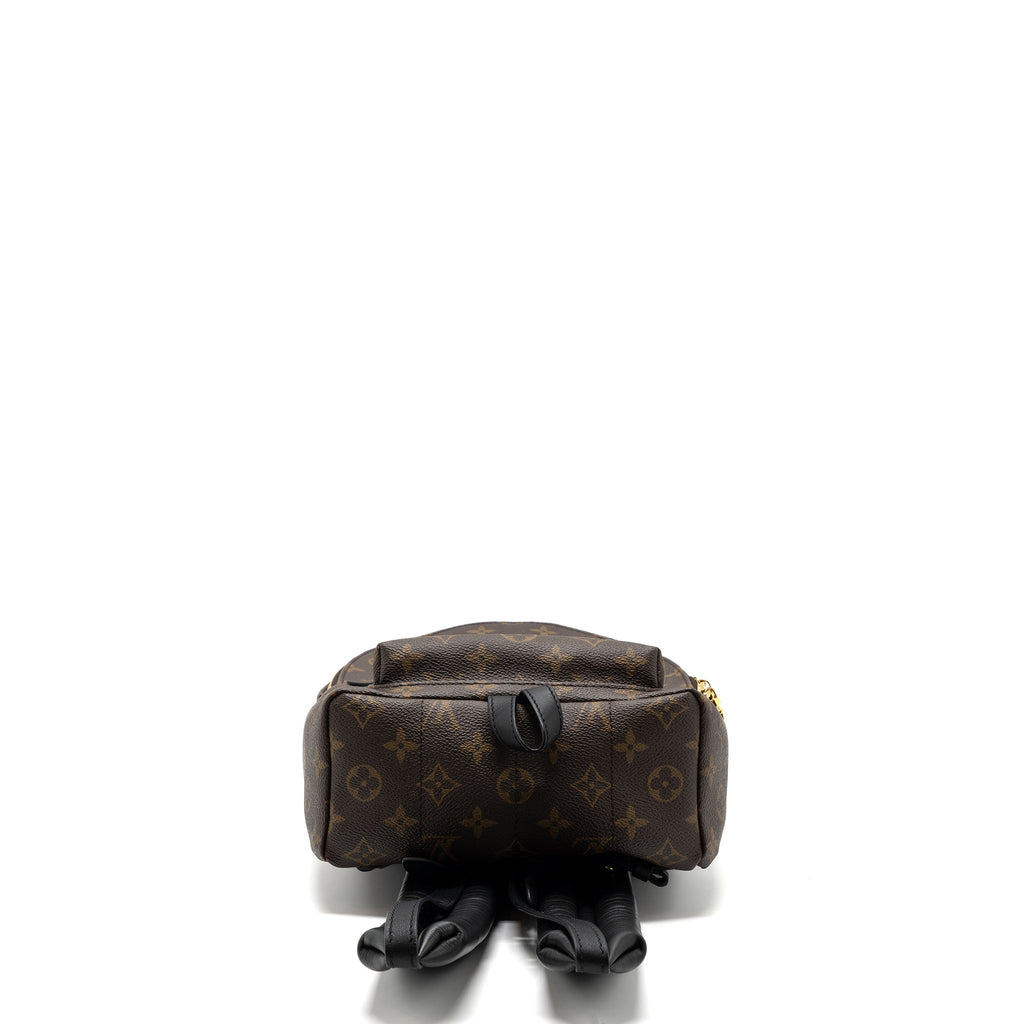 LOUIS VUITTON PALM SPRING BACKPACK PM MONOGRAM CANVAS GHW