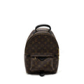 LOUIS VUITTON PALM SPRING BACKPACK PM MONOGRAM CANVAS GHW