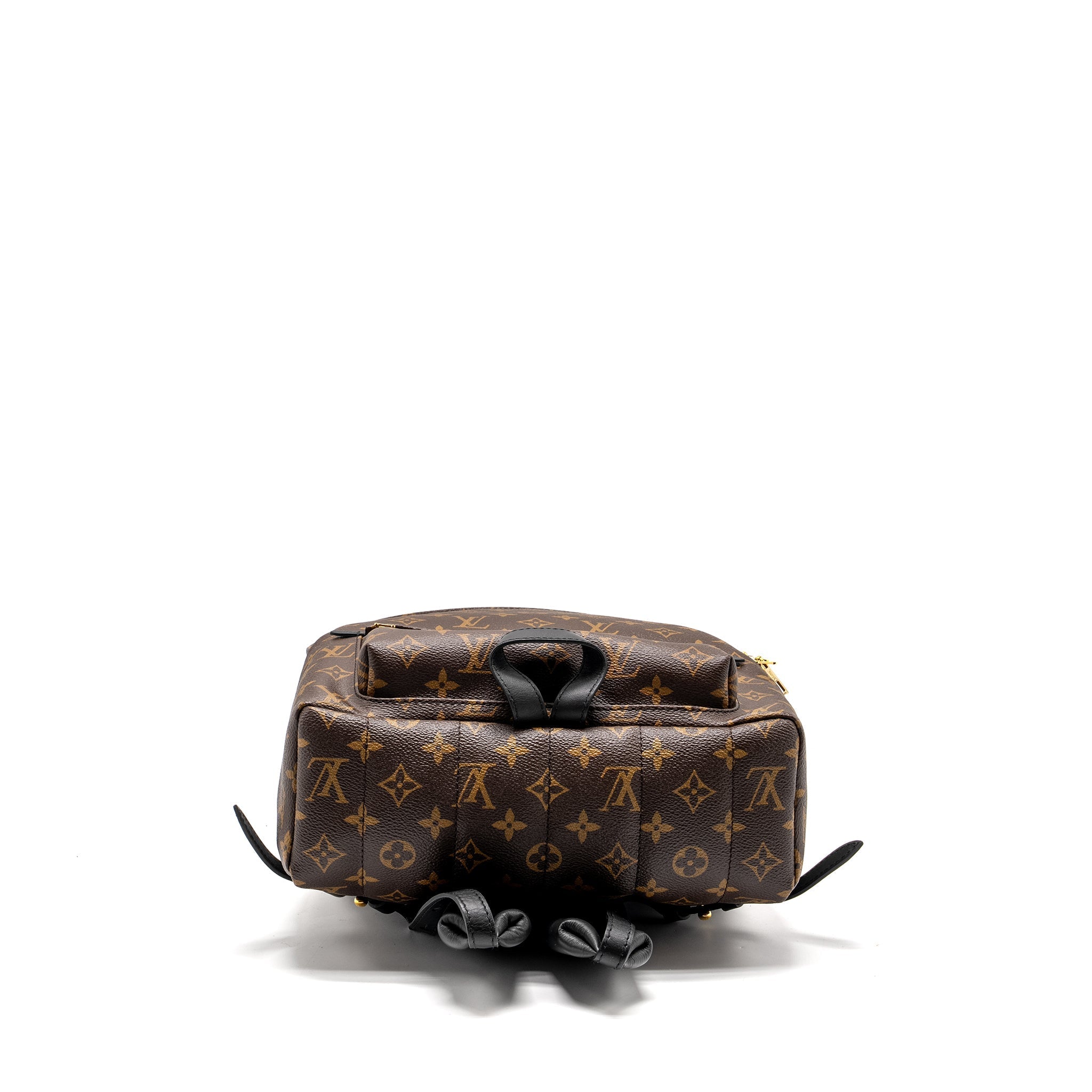 LOUIS VUITTON PALM SPRING BACKPACK MM MONOGRAM CANVAS