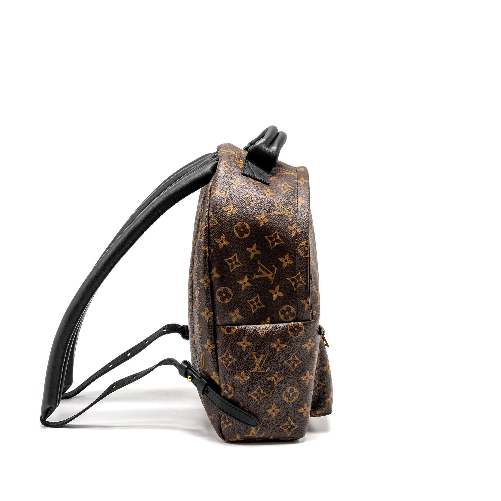 LOUIS VUITTON PALM SPRING BACKPACK MM MONOGRAM CANVAS