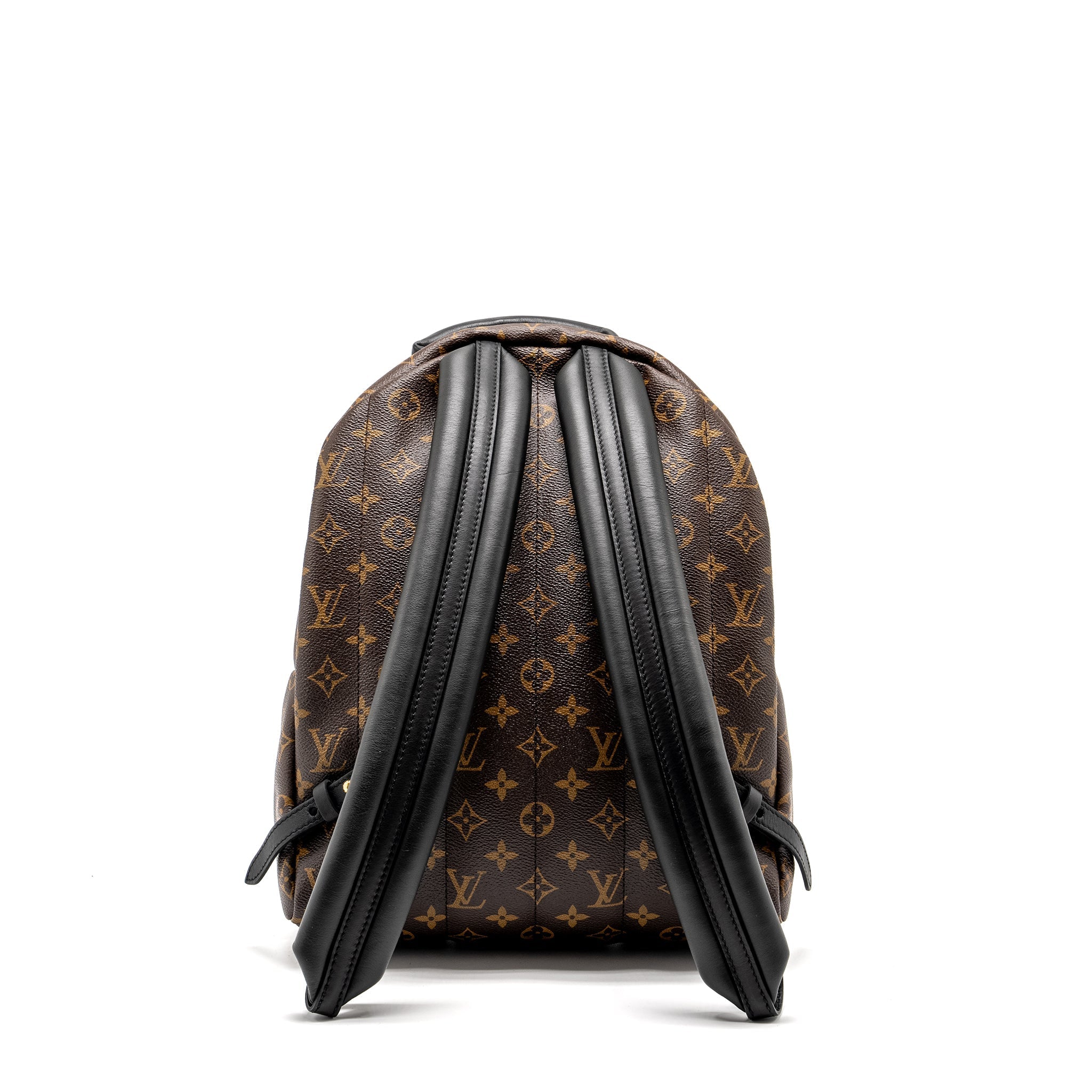 LOUIS VUITTON PALM SPRING BACKPACK MM MONOGRAM CANVAS