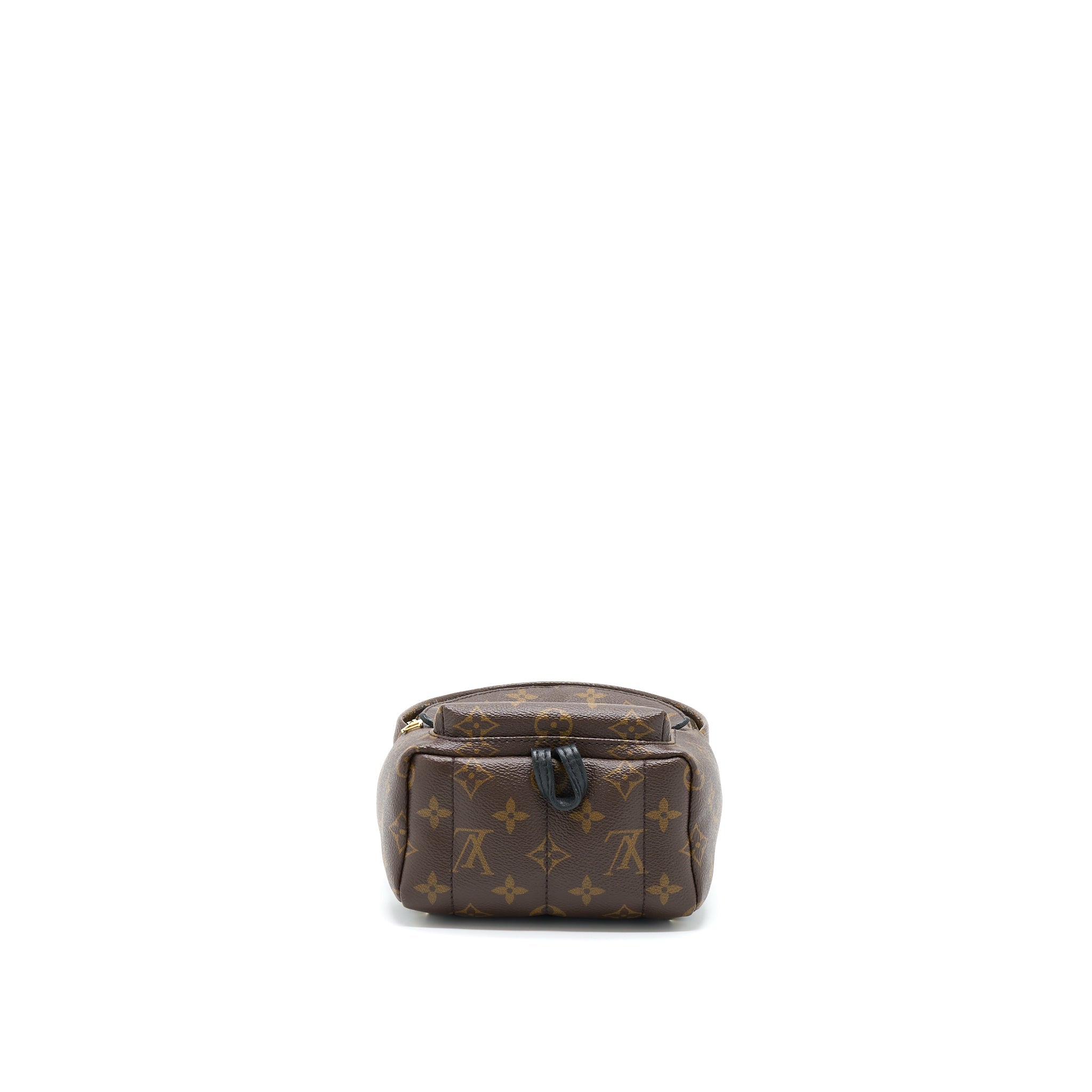 LOUIS VUITTON PALM SPRING MINI BACKPACK MONOGRAM CANVAS GHW
