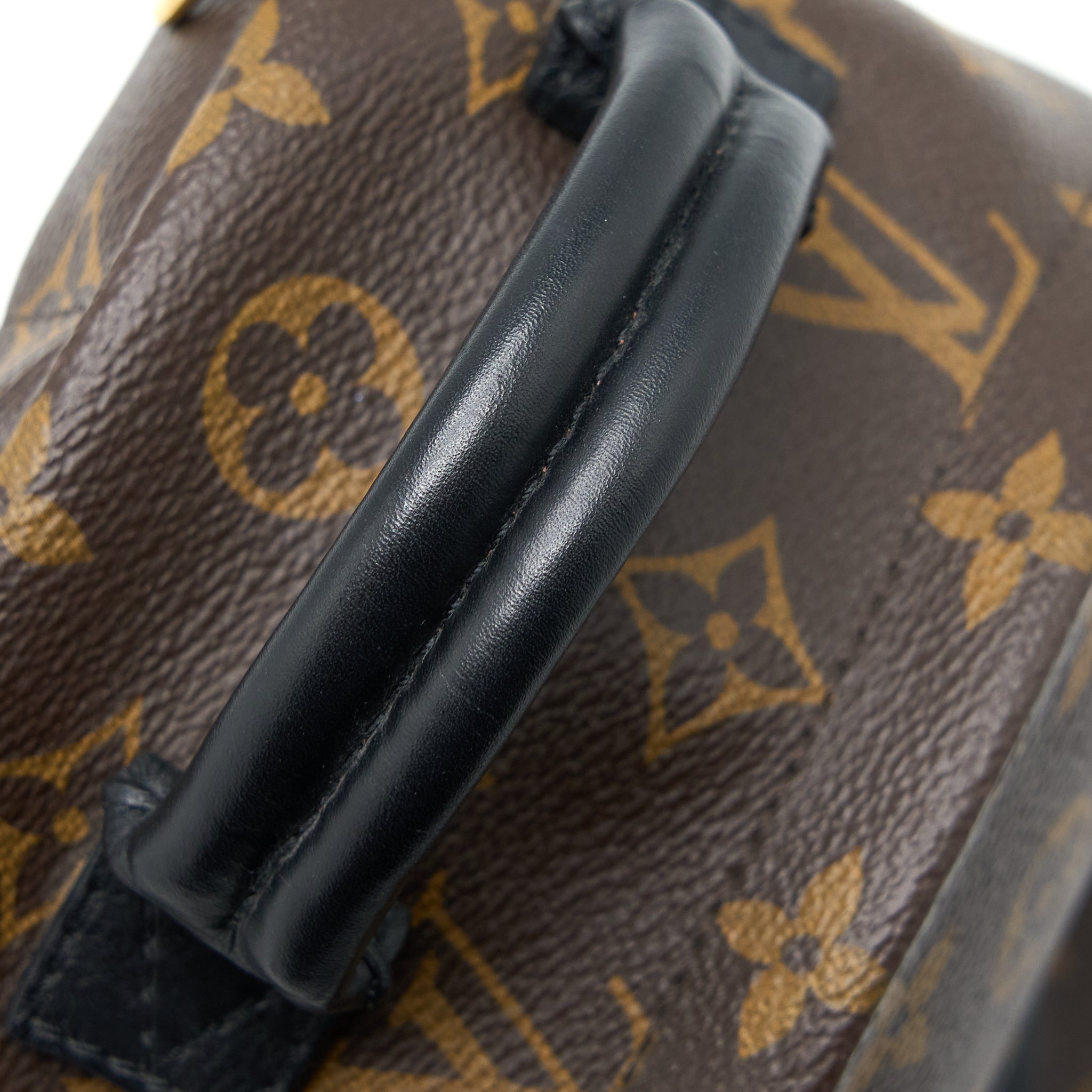LOUIS VUITTON PALM SPRING MINI BACKPACK MONOGRAM CANVAS GHW