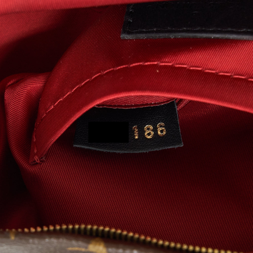 LOUIS VUITTON PALM SPRING MINI BACKPACK LIMITED EDITION