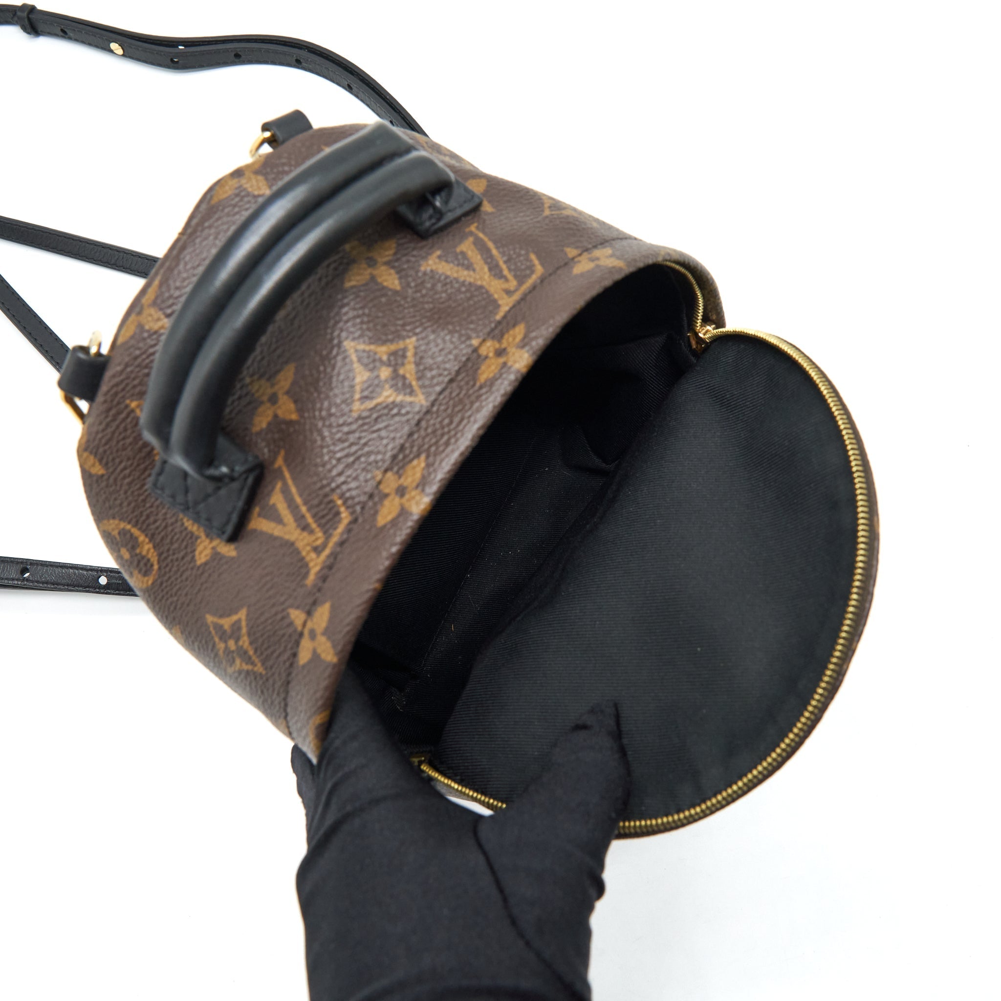 LOUIS VUITTON PALM SPRING MINI BACKPACK MONOGRAM CANVAS YEAR 2018