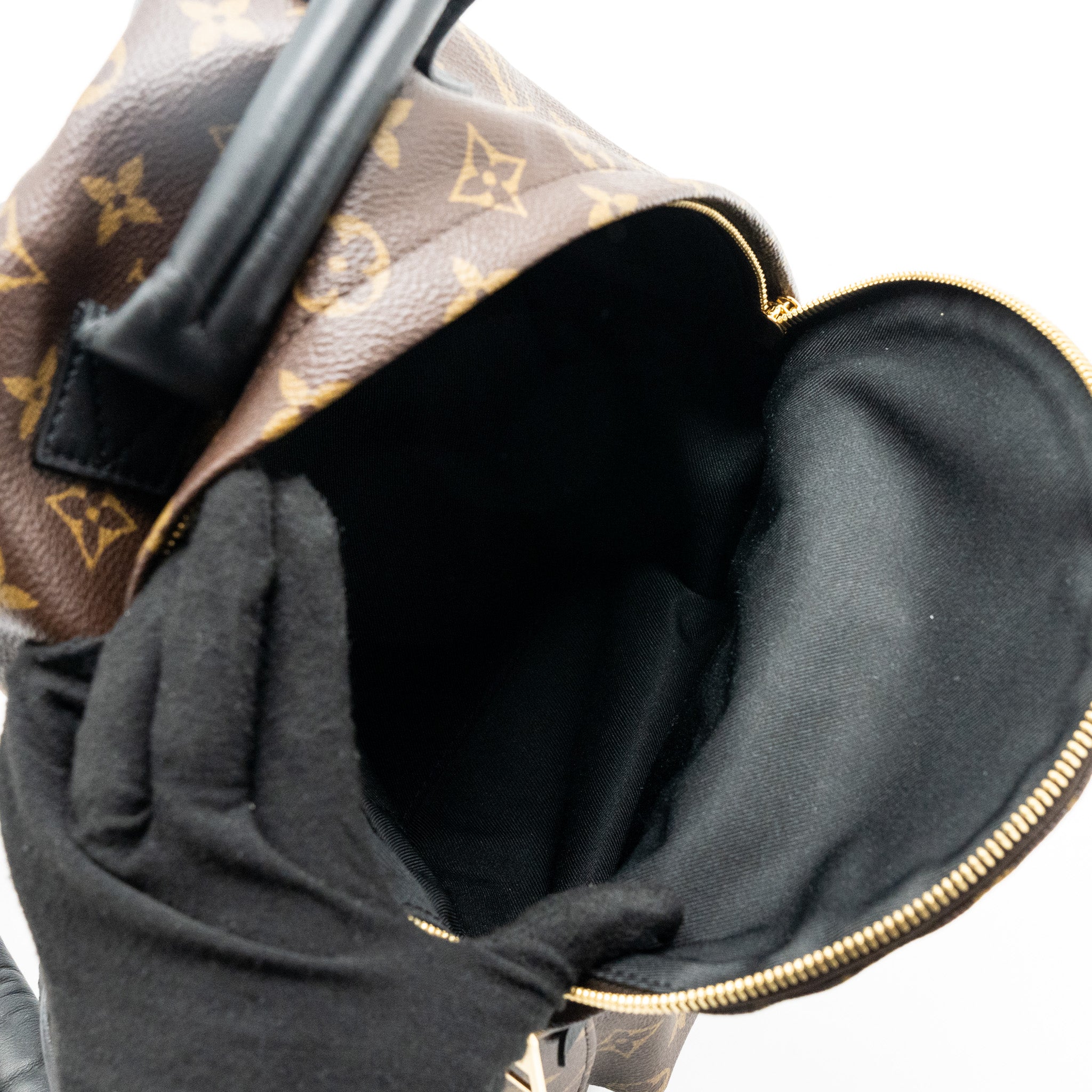 LOUIS VUITTON PALM SPRING BACKPACK PM MONOGRAM CANVAS GHW
