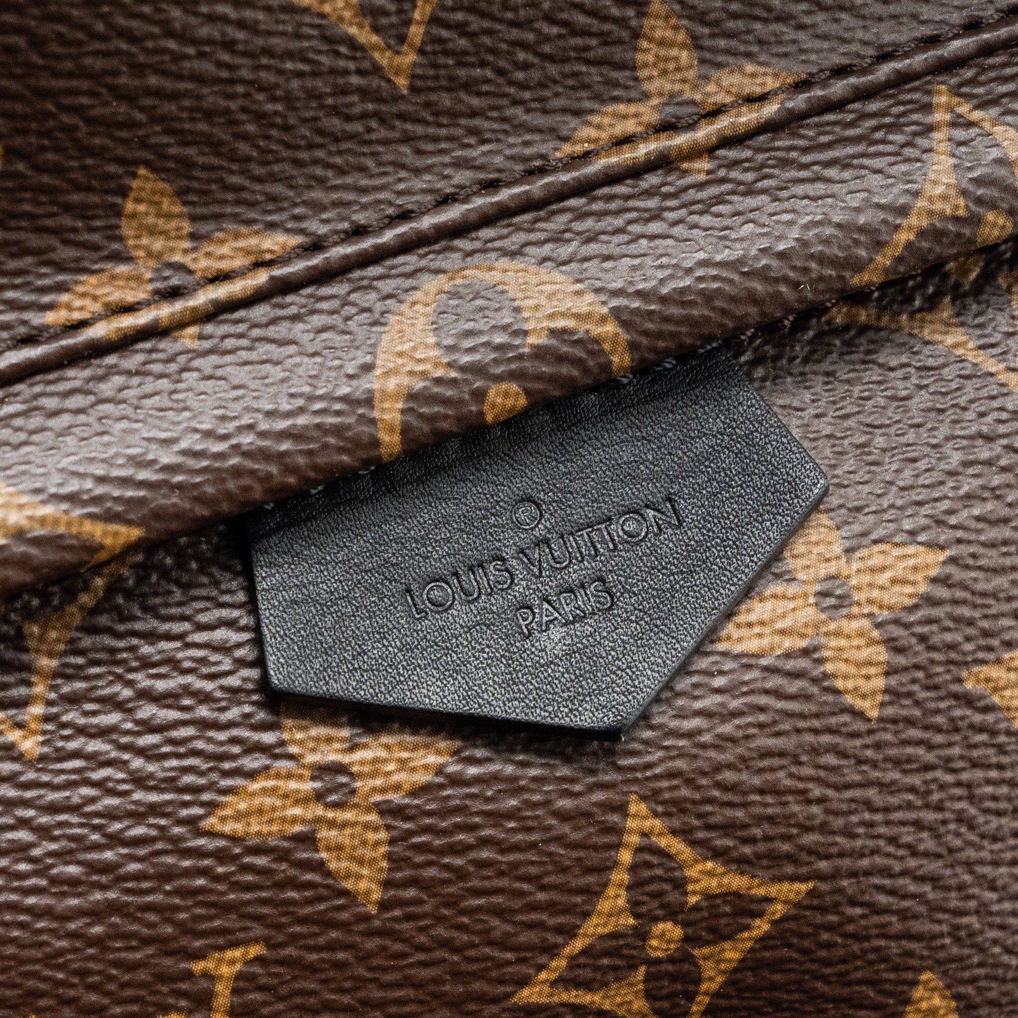 LOUIS VUITTON PALM SPRING PM BACKPACK MONOGRAM CANVAS GHW