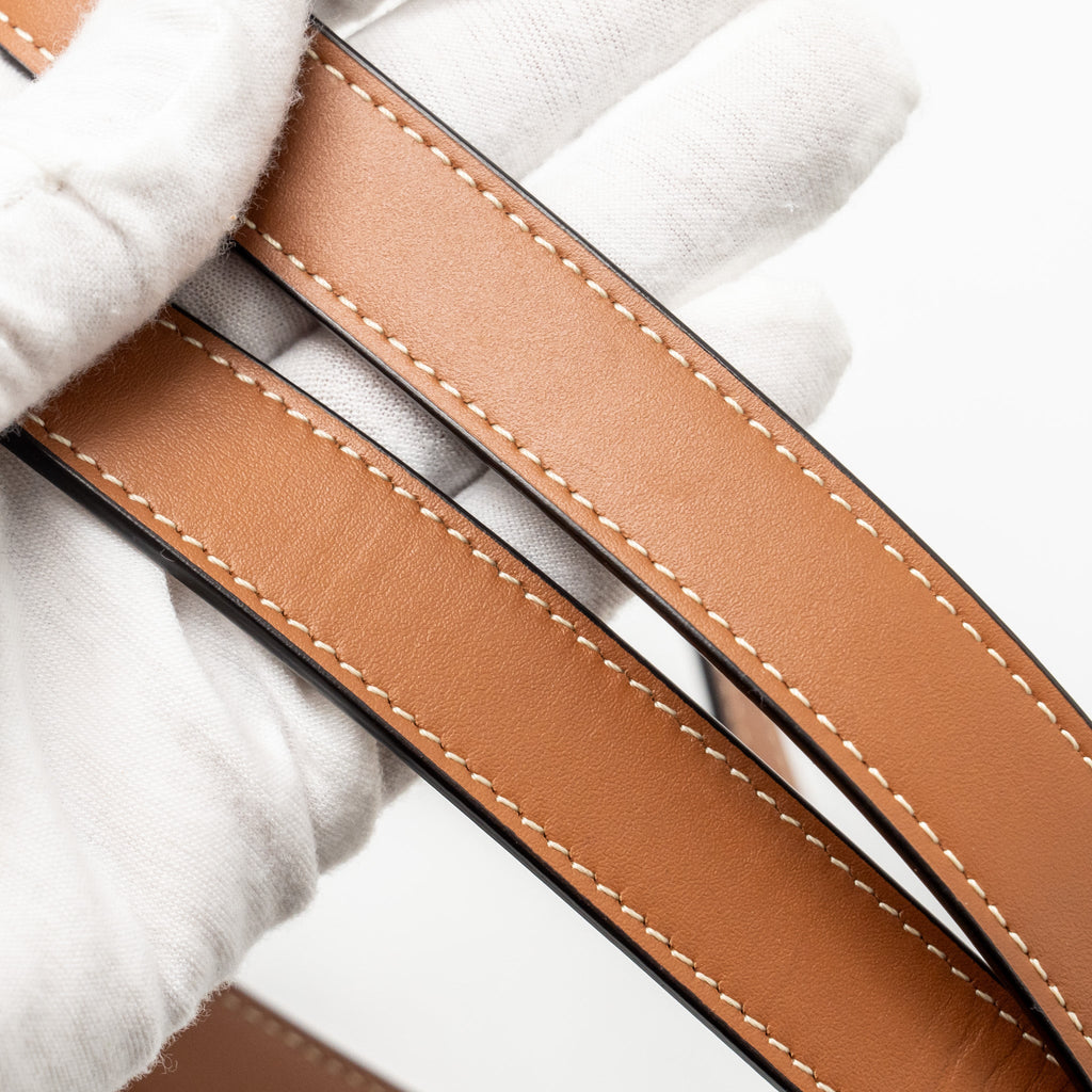 CELINE MINI BACKPACK FOLCO TRIOMPHE CANVAS / CALFSKIN TAN GHW