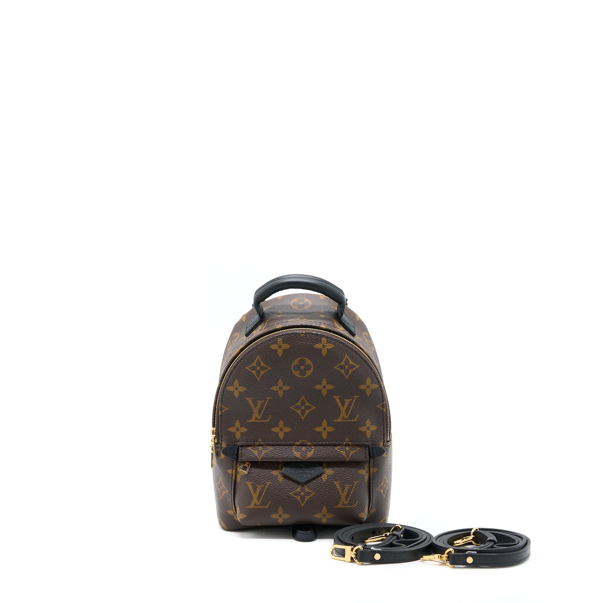 LOUIS VUITTON PALM SPRINGS MINI BACKPACK MONOGRAM CANVAS GHW (NEW VERSION)