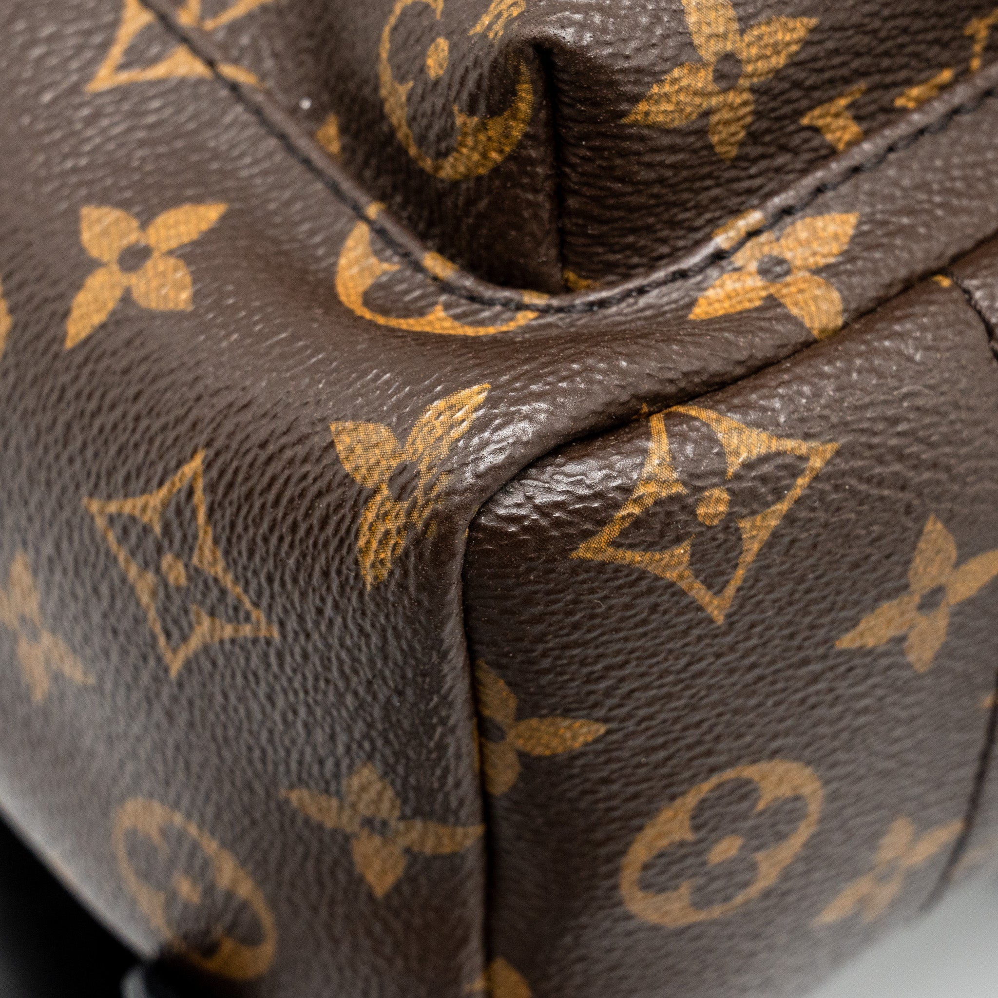 LOUIS VUITTON PALM SPRING PM BACKPACK MONOGRAM CANVAS GHW