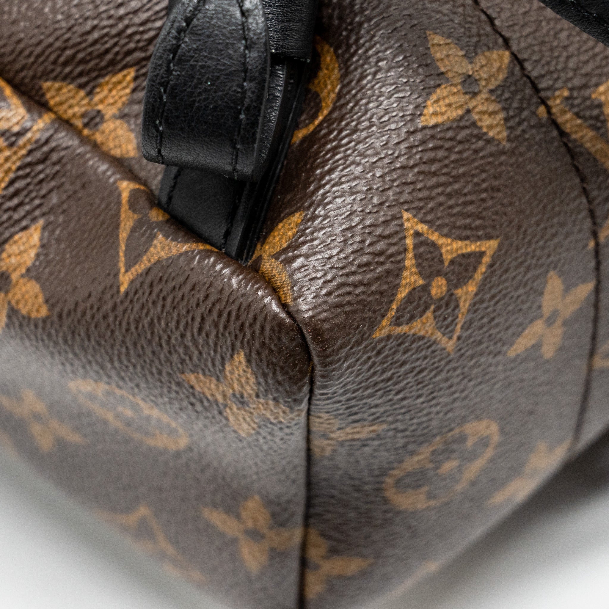 LOUIS VUITTON PALM SPRING PM BACKPACK MONOGRAM CANVAS GHW