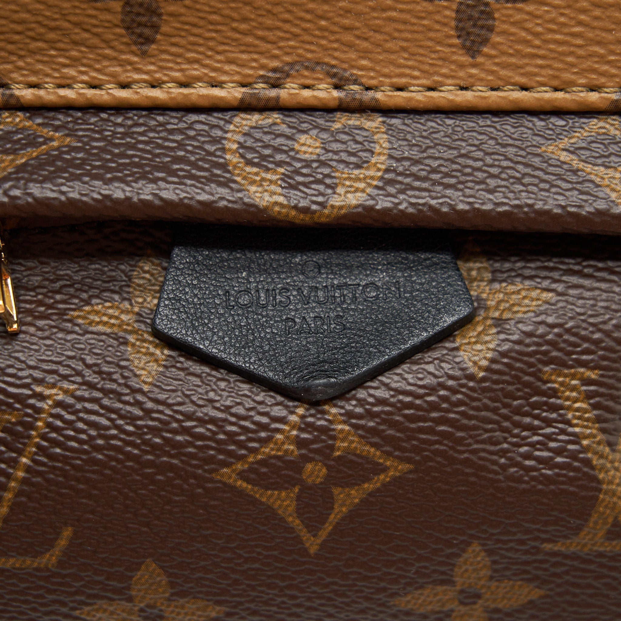LOUIS VUITTON PALM SPRING MINI BACKPACK MONOGRAM CANVAS