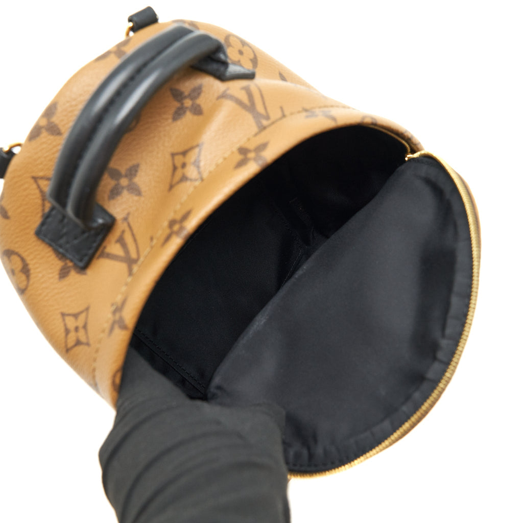 LOUIS VUITTON PALM SPRING MINI BACKPACK MONOGRAM CANVAS