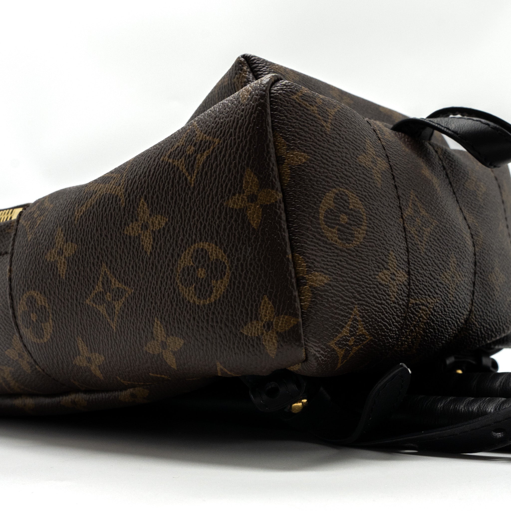 LOUIS VUITTON PALM SPRING BACKPACK PM MONOGRAM CANVAS GHW