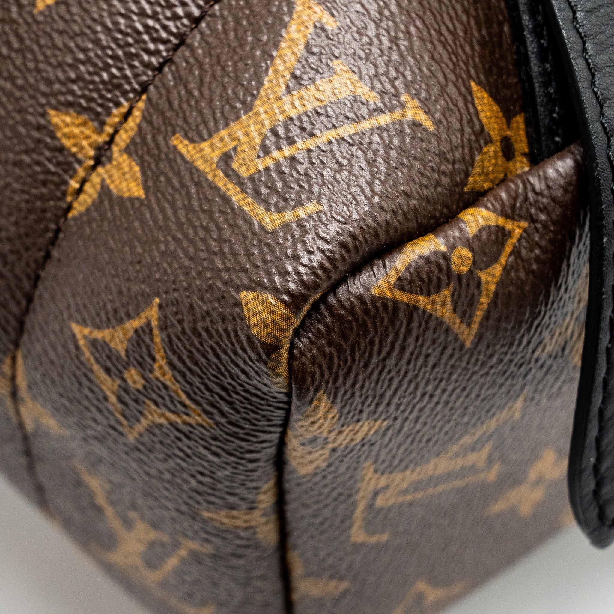 LOUIS VUITTON PALM SPRING BACKPACK MM MONOGRAM CANVAS