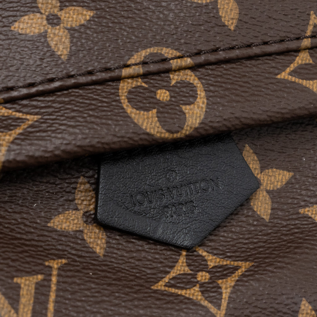 LOUIS VUITTON PALM SPRING MINI BACKPACK MONOGRAM CANVAS GHW (NEW VERSION)