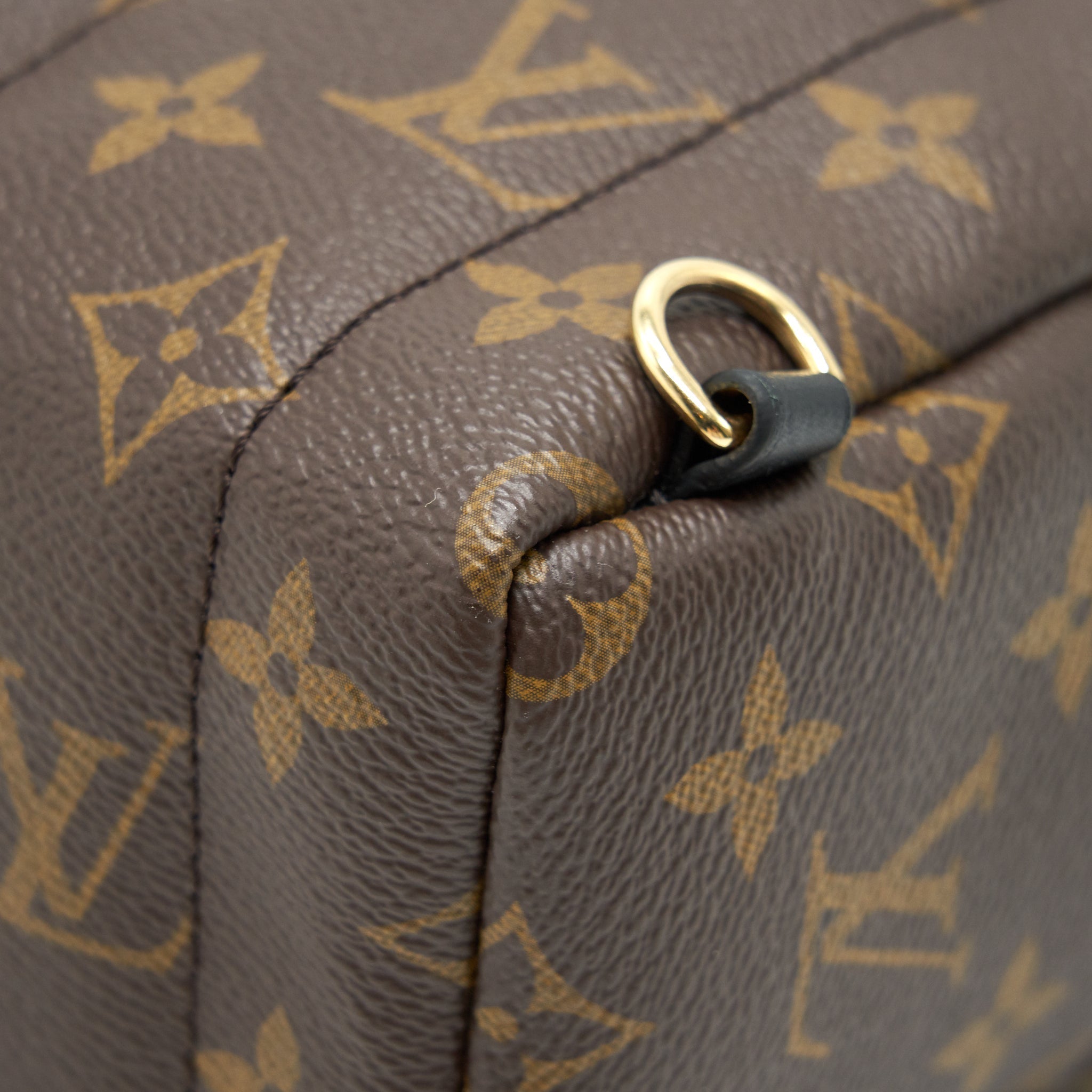 LOUIS VUITTON PALM SPRINGS MINI BACKPACK OLD VERSION