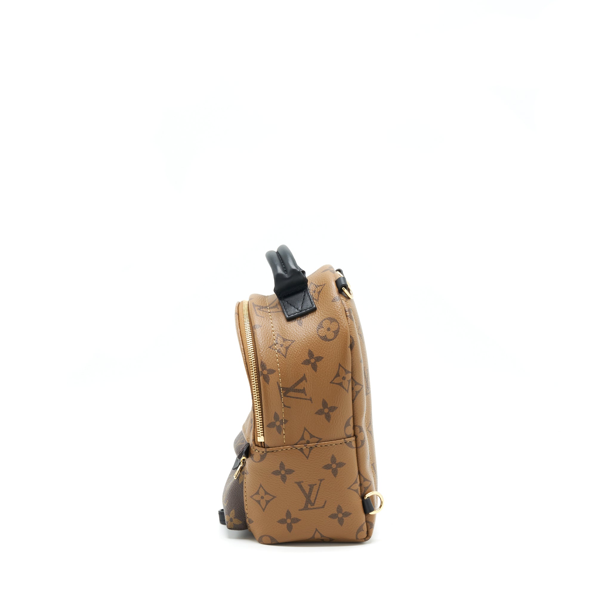 LOUIS VUITTON PALM SPRING MINI BACKPACK YEAR 2020 GHW