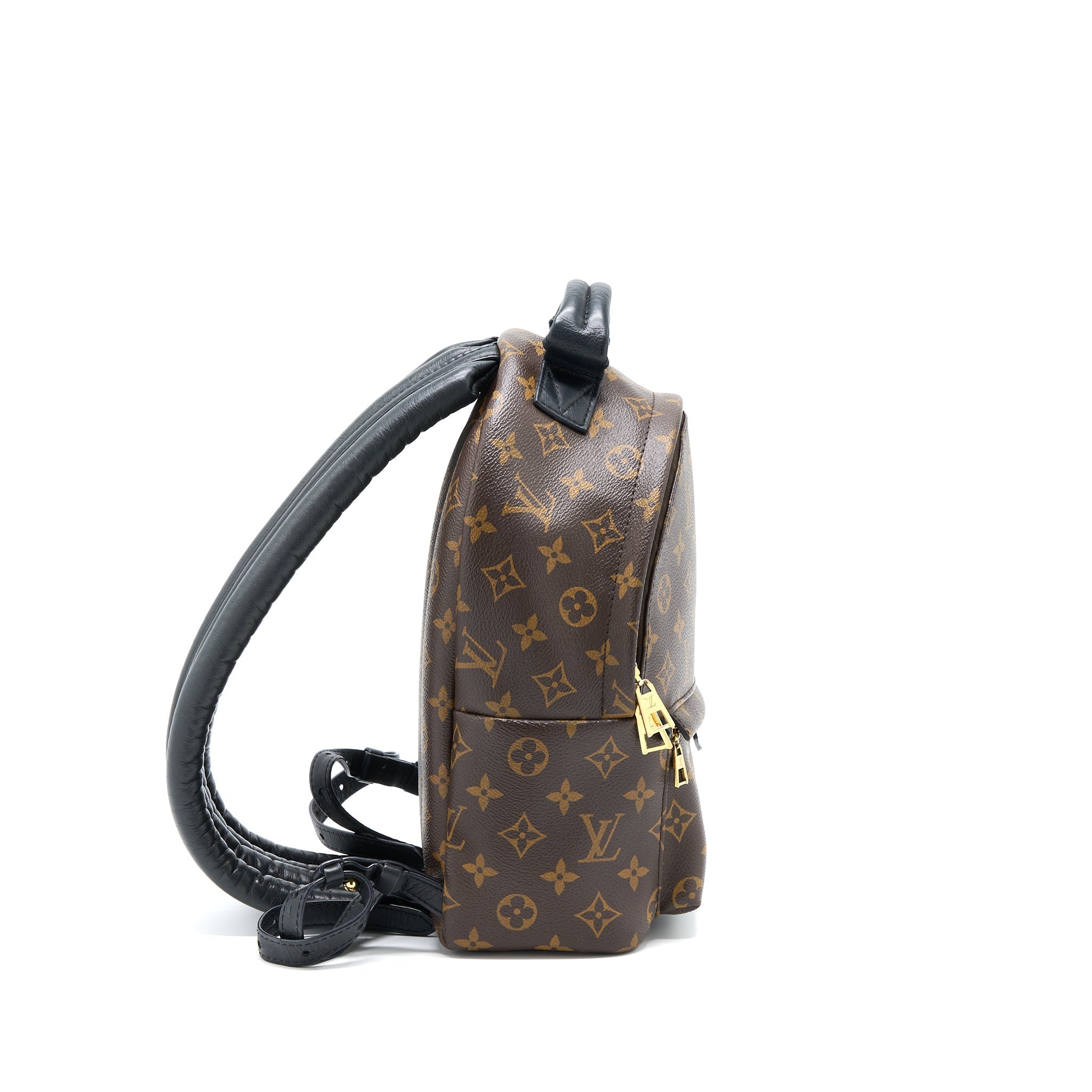 LOUIS VUITTON PALM SPRING PM BACKPACK MONOGRAM CANVAS GHW