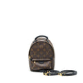 LOUIS VUITTON PALM SPRING BACKPACK MINI MONOGRAM CANVAS