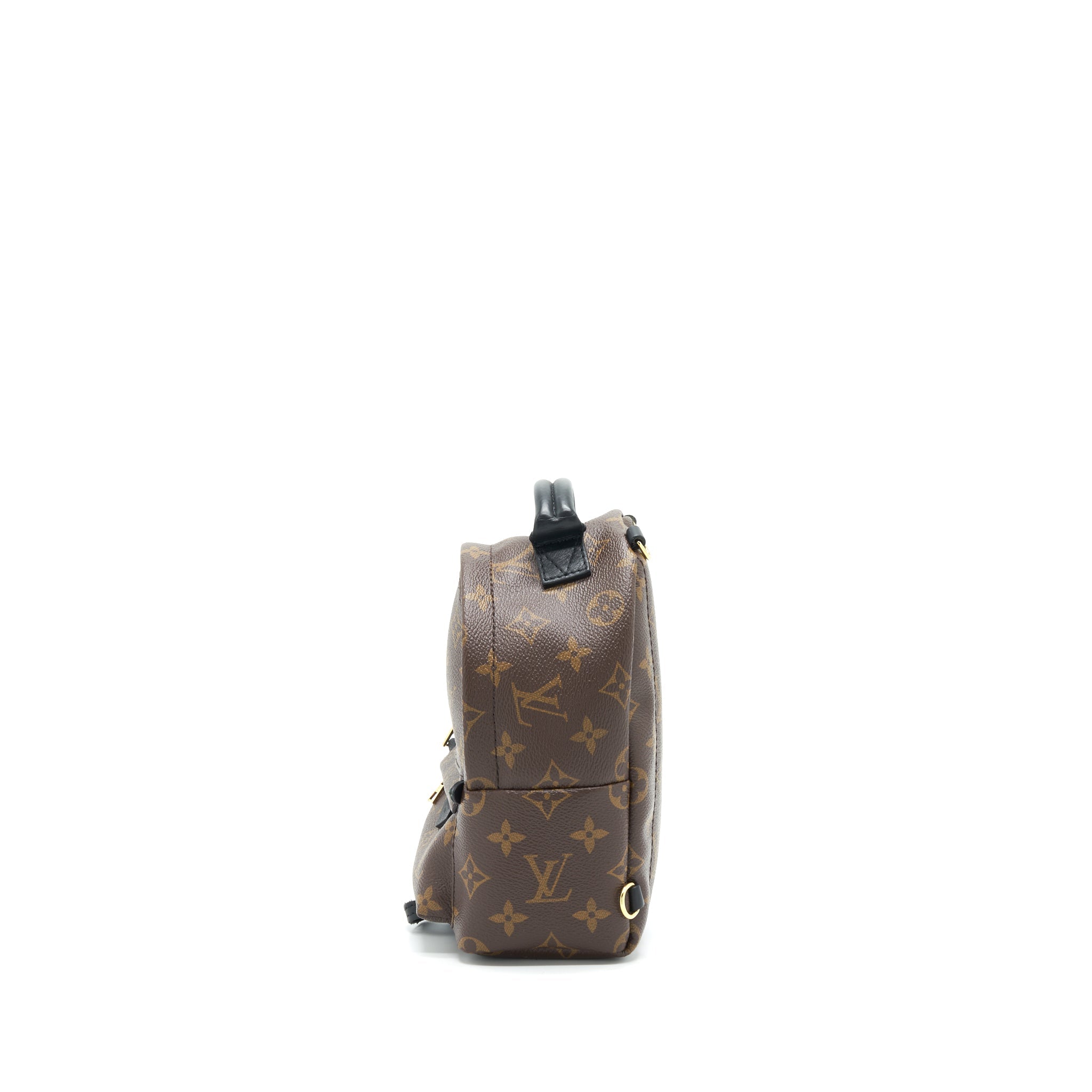 LOUIS VUITTON PALM SPRING BACKPACK MINI MONOGRAM CANVAS