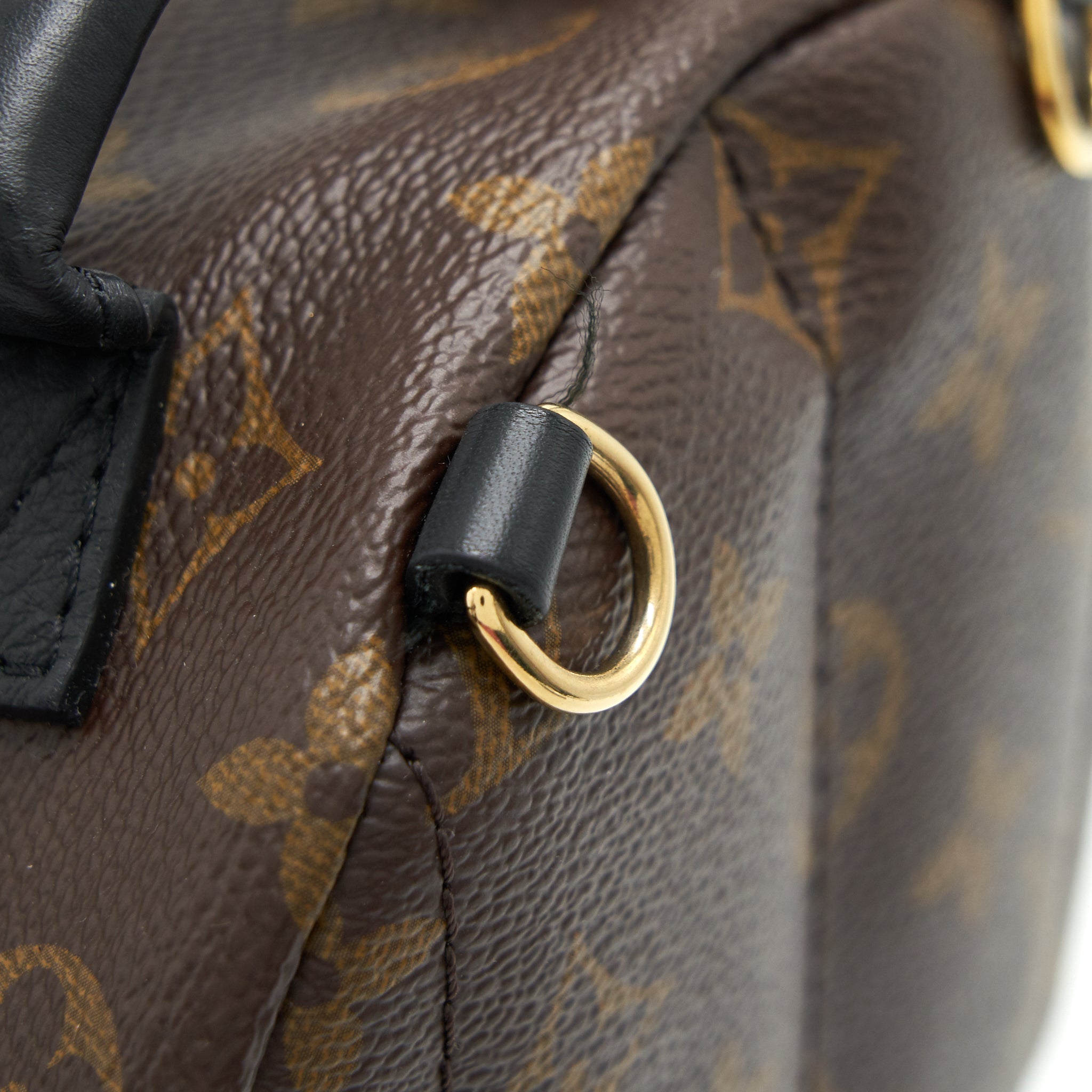 LOUIS VUITTON PALM SPRING BACKPACK MINI MONOGRAM CANVAS