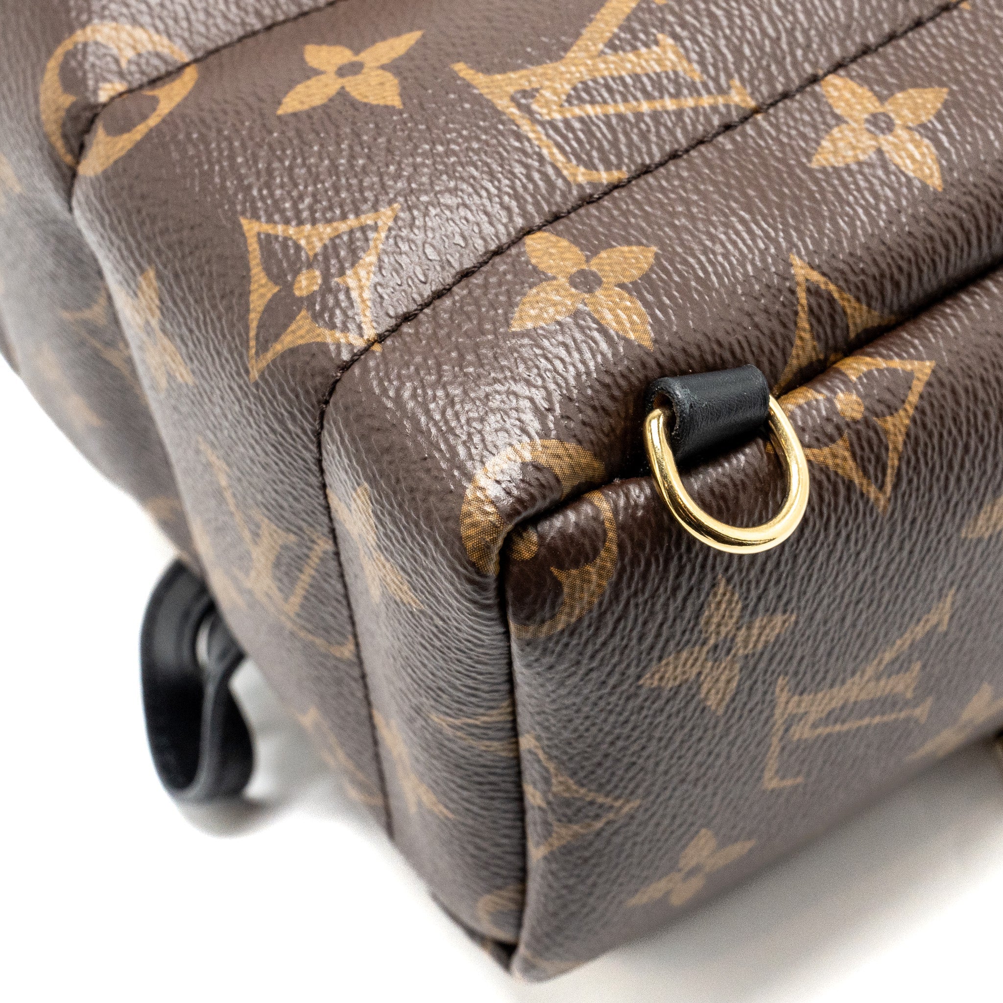 LOUIS VUITTON PALM SPRING MINI BACKPACK MONOGRAM CANVAS