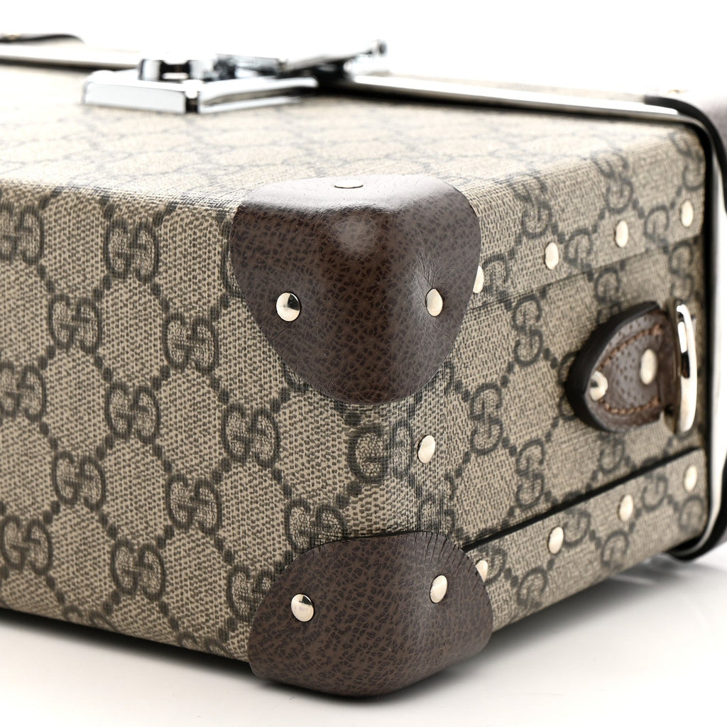 GG SUPREME MONOGRAM GLOBE-TROTTER BEAUTY CASE BROWN
